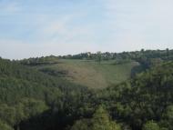 РУЇНИ ФОРТЕЦІ