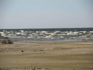 Жовтень 2015 р.