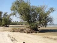 Жовтень 2015 р.