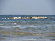 Жовтень 2015 р.