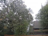 Крайніковський шедевр дерев'яної архітектури