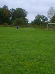 Тулиголови