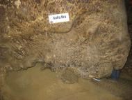 ПЕЧЕРА КРИШТАЛЕВА