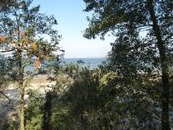 Жовтень 2015 р.