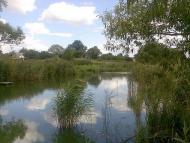 Моє улюблене село 