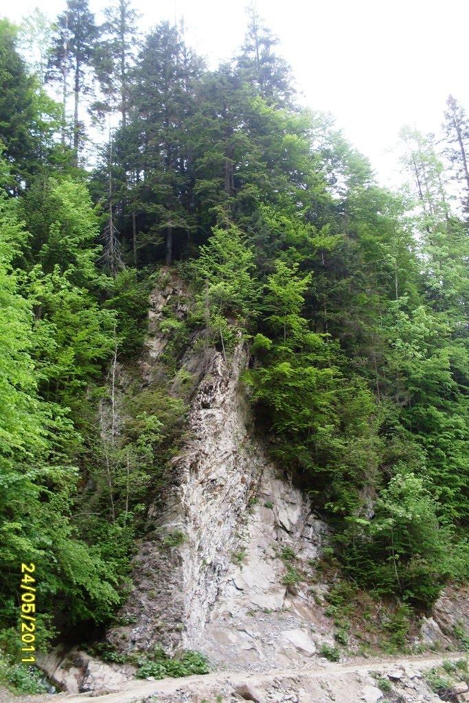 Розтоки з panoramio.com - Розтоки