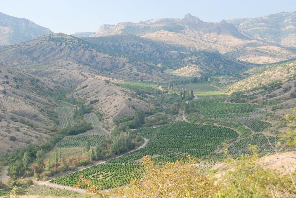 Привітне з panoramio.com (ч.2) - Привітне