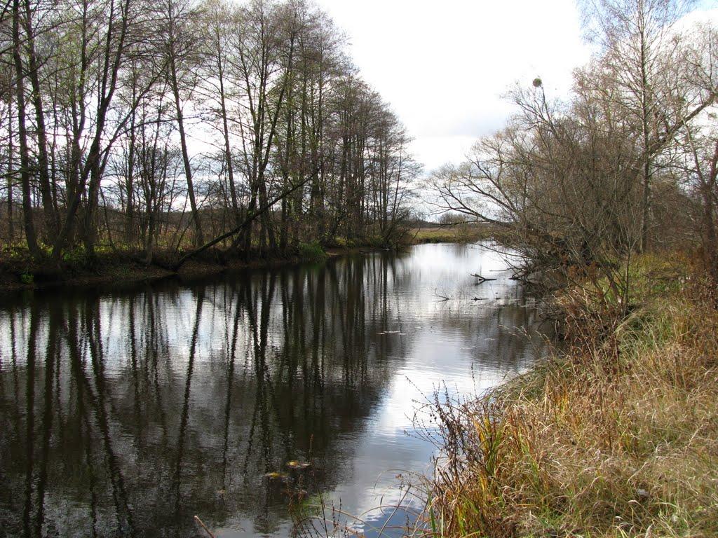 Троянівка з panoramio.com - Трояновка