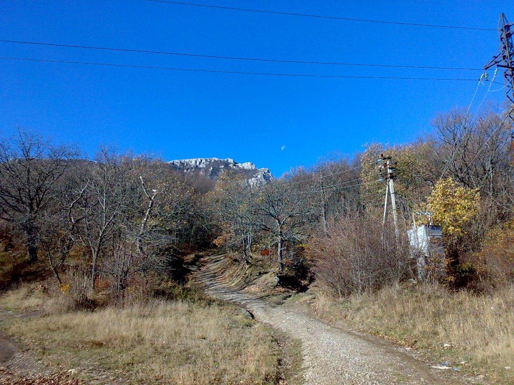 Лаванда з panoramio.com (ч.2) - Lavanda