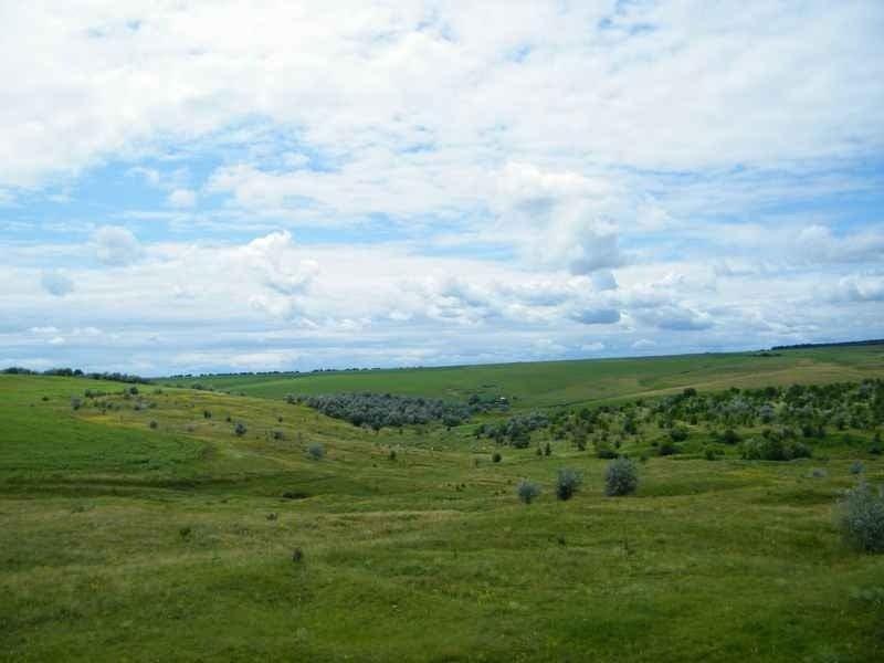 Стальнівці з panoramio.com - Стальнівці