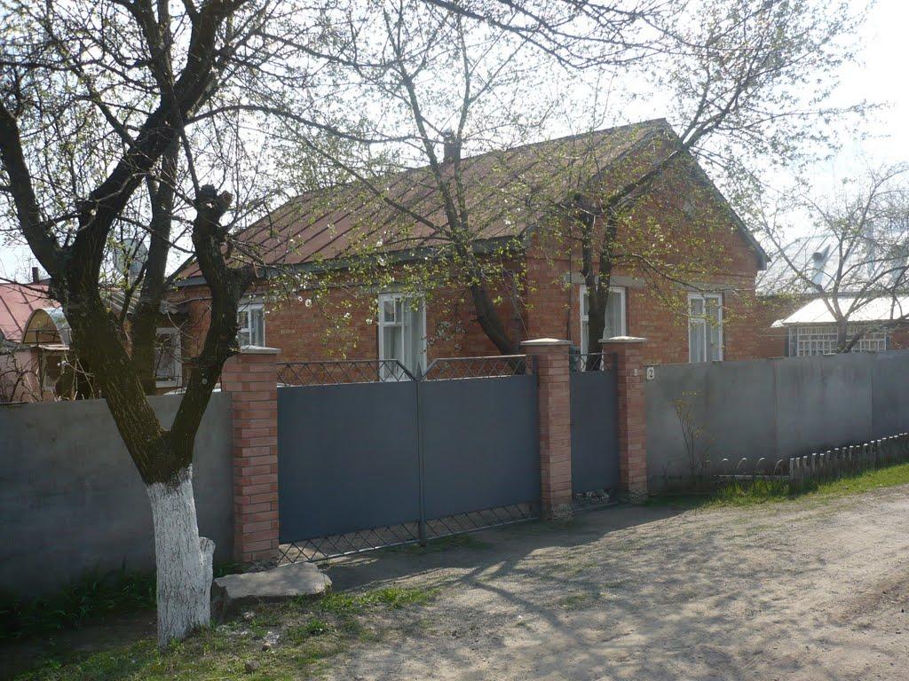 Зіньків з panoramio.com - Зіньків