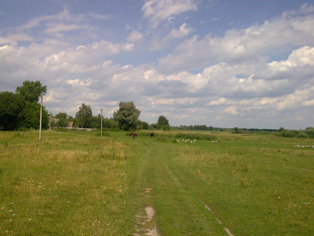 Сваркове з panoramio.com - Сваркове