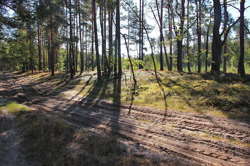 Нові Червища з panoramio.com - Нові Червища