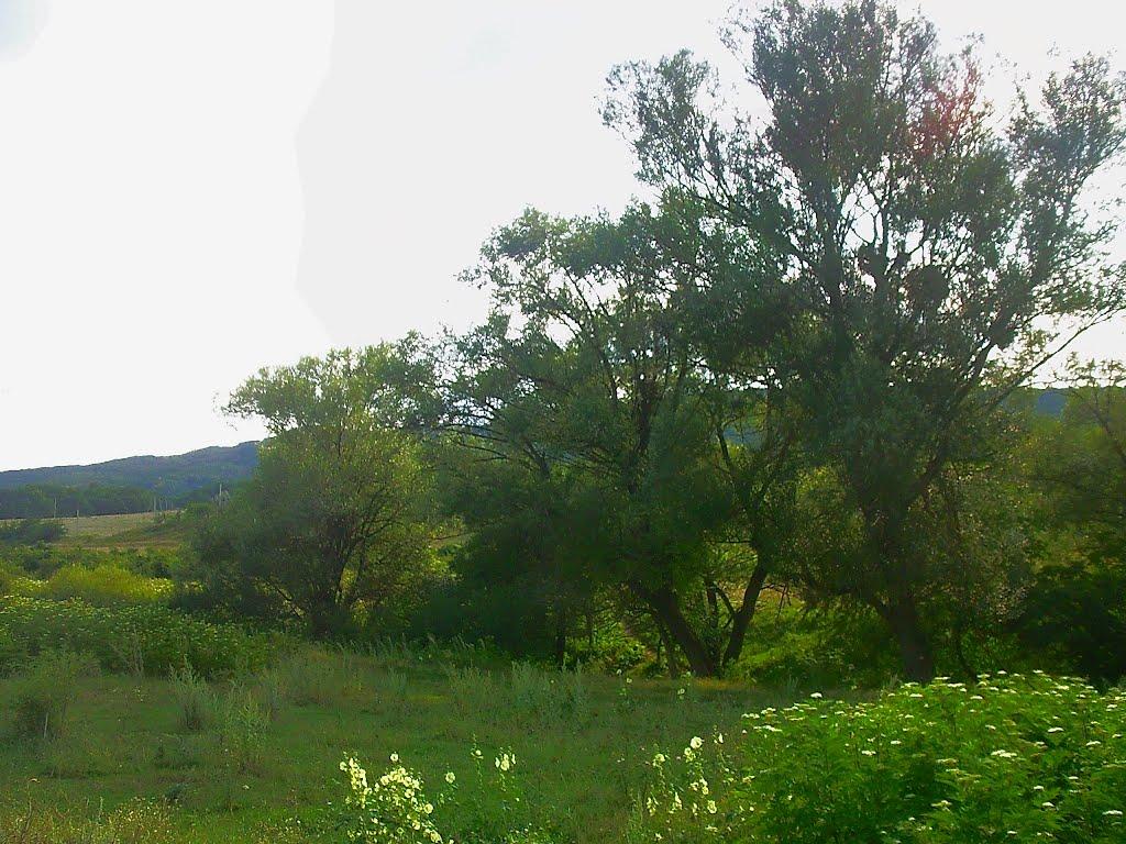 Краснолісся з panoramio.com - Краснолесье