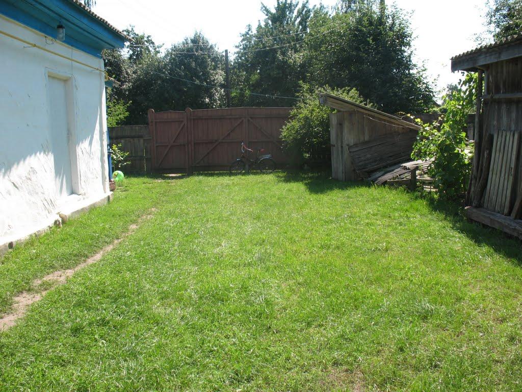 Максаки з panoramio.com - Максаки