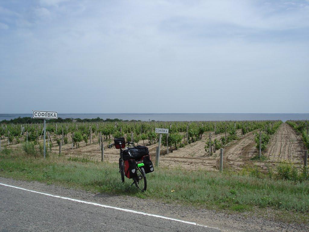 Софіївка з panoramio.com - Софіївка