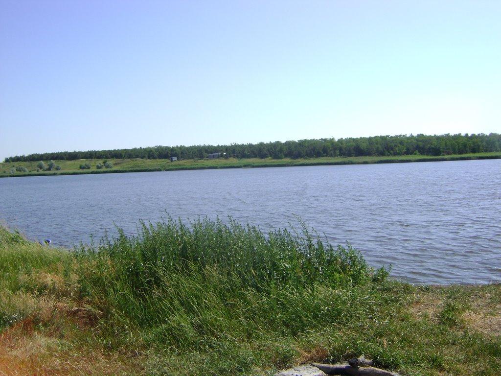 Маліївка з panoramio.com - Малиевка