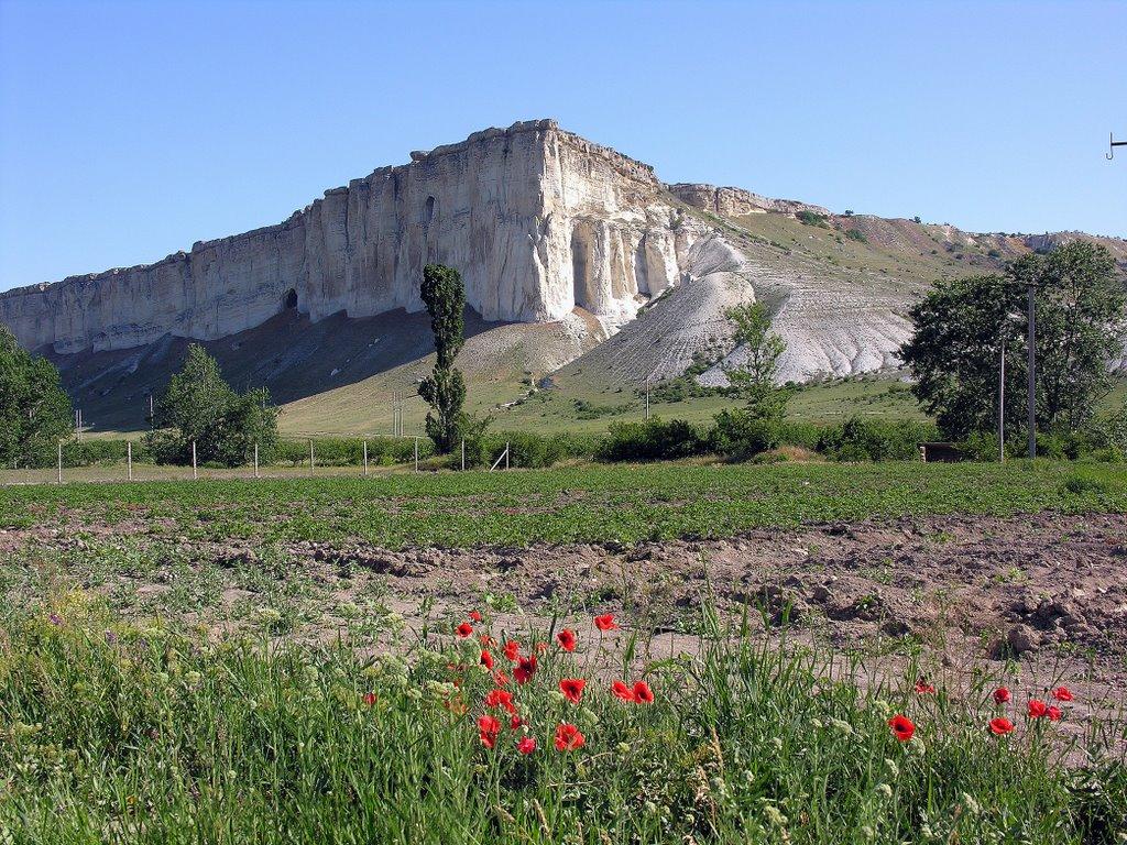 Біла Скеля з panoramio.com - Белая Скала