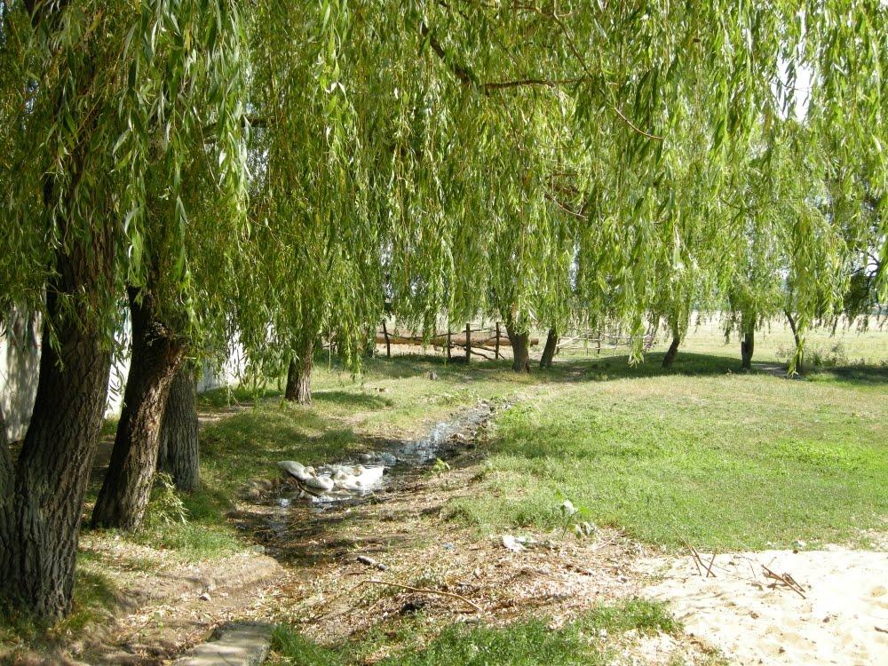 Новопавлівка з panoramio.com - Новопавлівка