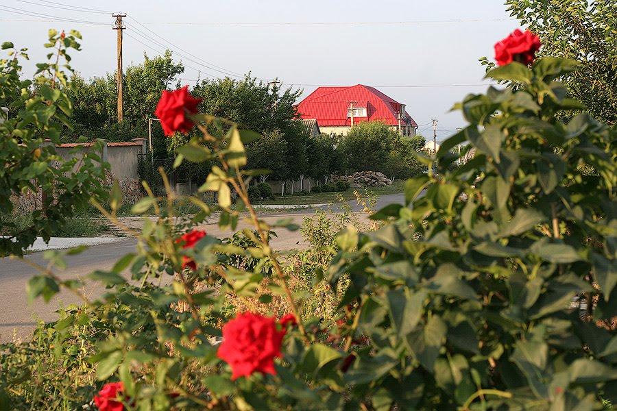 Міжводне з panoramio.com - Межводное
