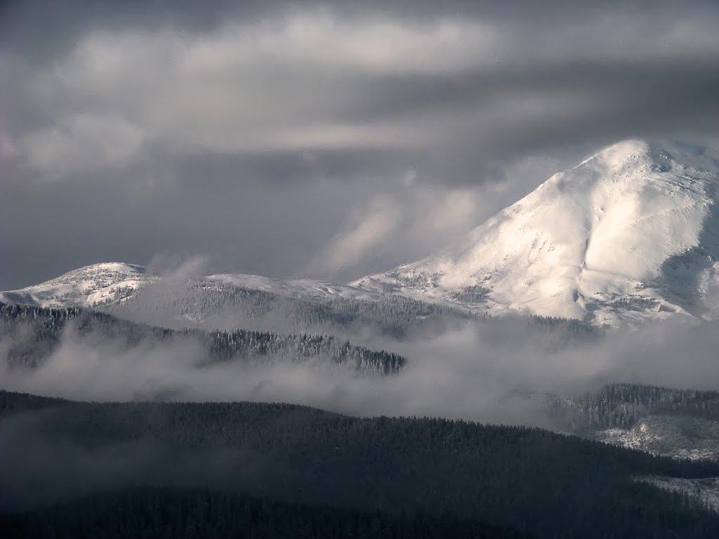 Вороненко з panoramio.com - Вороненко