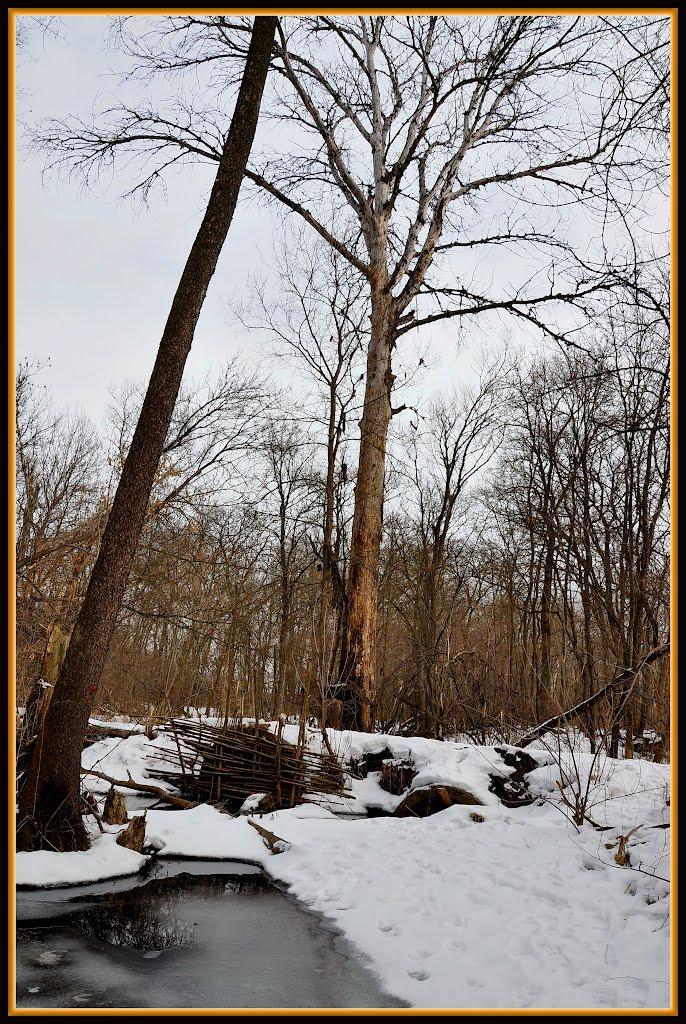 Білогорівка з panoramio.com - Білогорівка