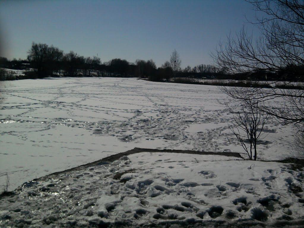 Велика Рача з panoramio.com - Велика Рача