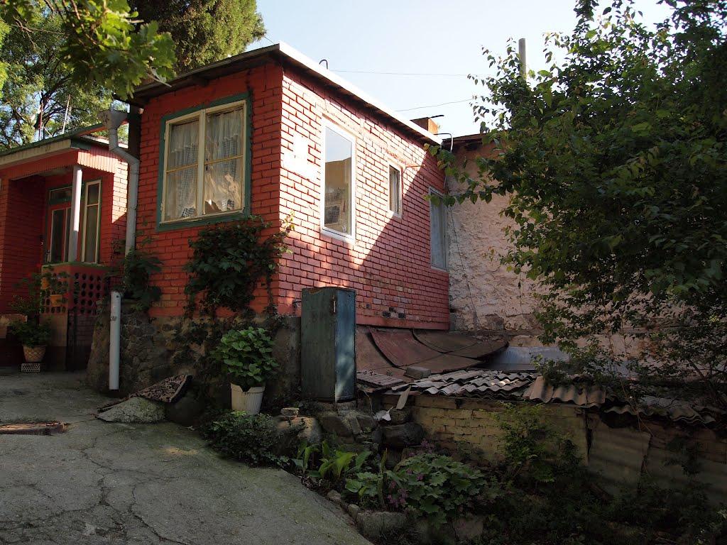 Запрудне з panoramio.com - Запрудне