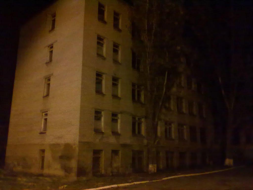 Миколаївка з panoramio.com (ч.2) - Николаевка