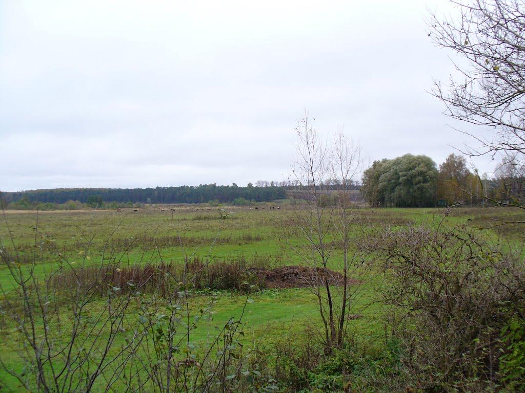 Баничі з panoramio.com - Баничі