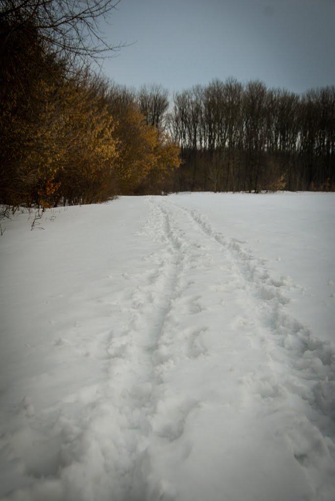 Манівці з panoramio.com - Манівці