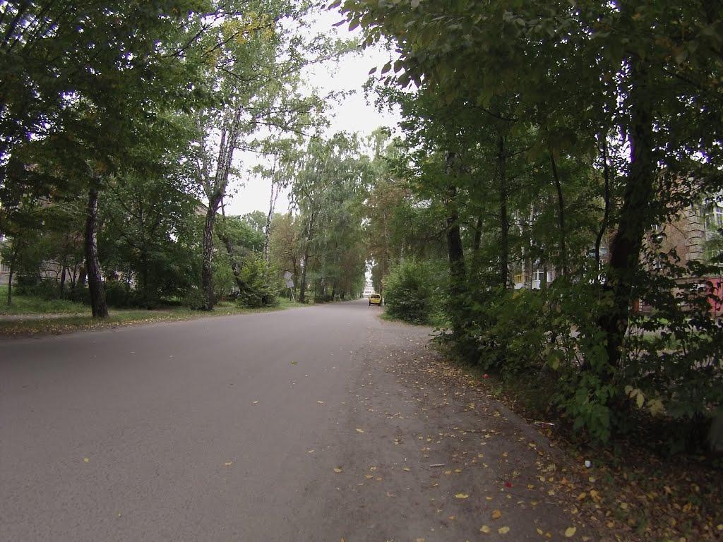 Новоград-Волинський з panoramio.com (ч.3) - Новоград-Волинський
