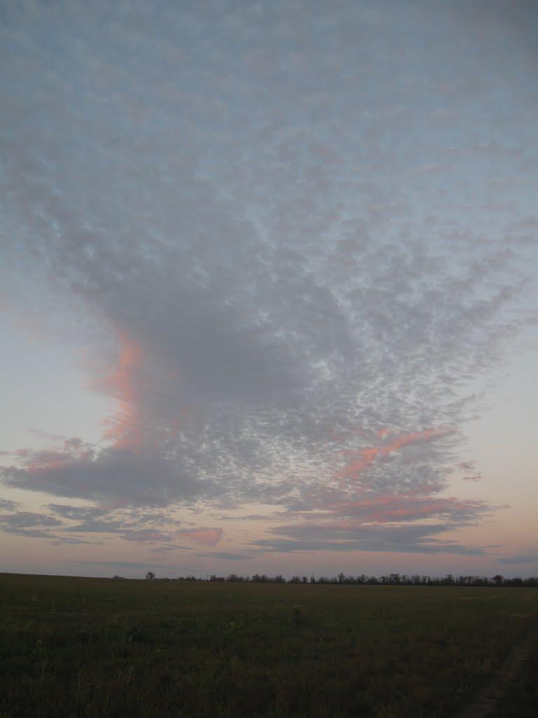 Шолохове з panoramio.com - Sholokhove