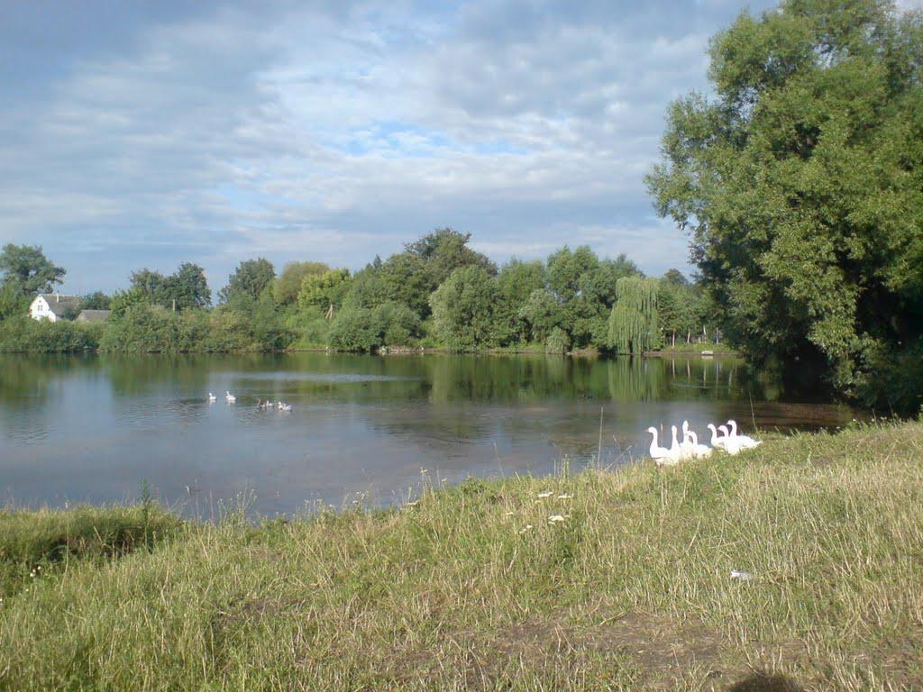 Малі Лисівці з panoramio.com - Mali Lysivtsi