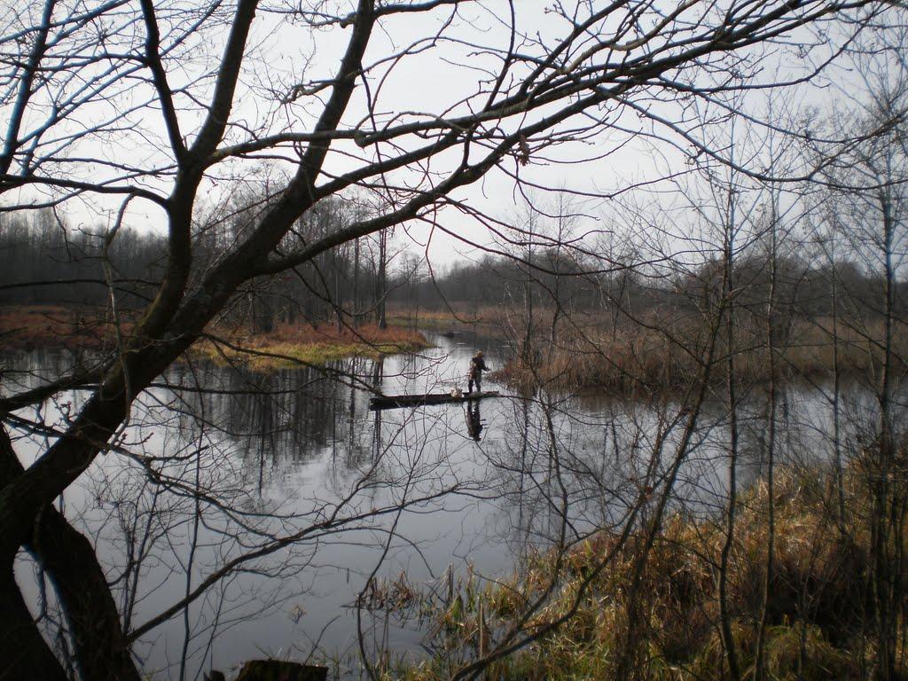 Пожог з panoramio.com - Пожог