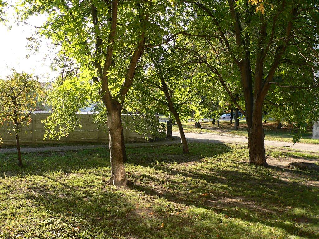 Домаха з panoramio.com - Домаха