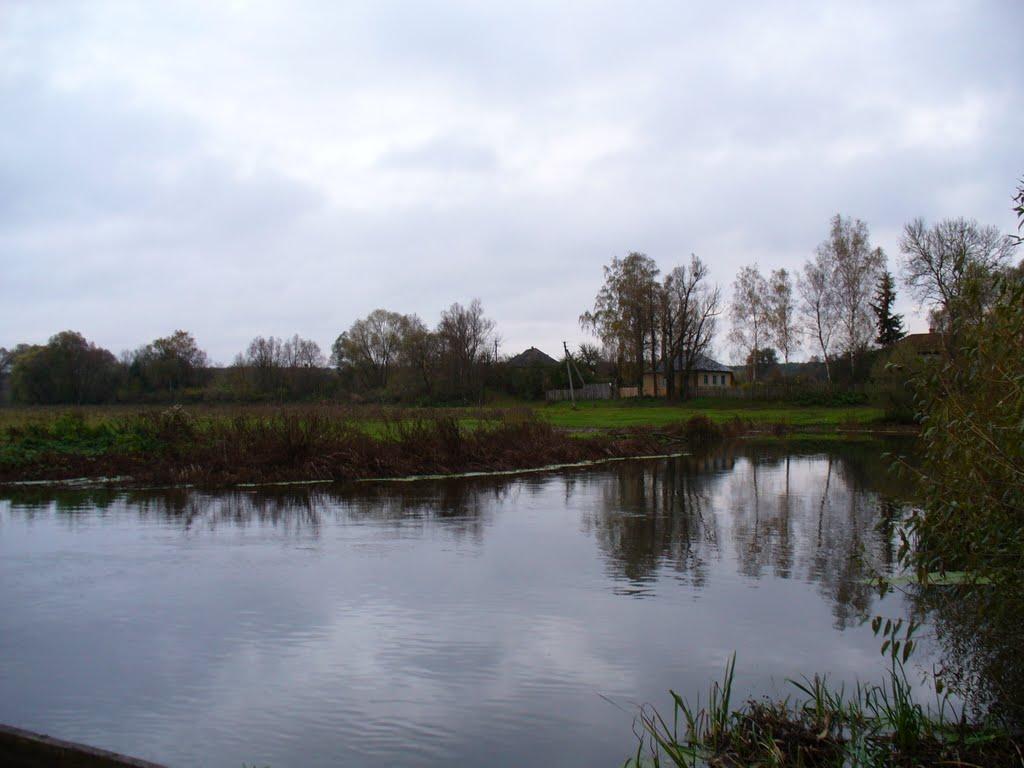 Баничі з panoramio.com - Баничі