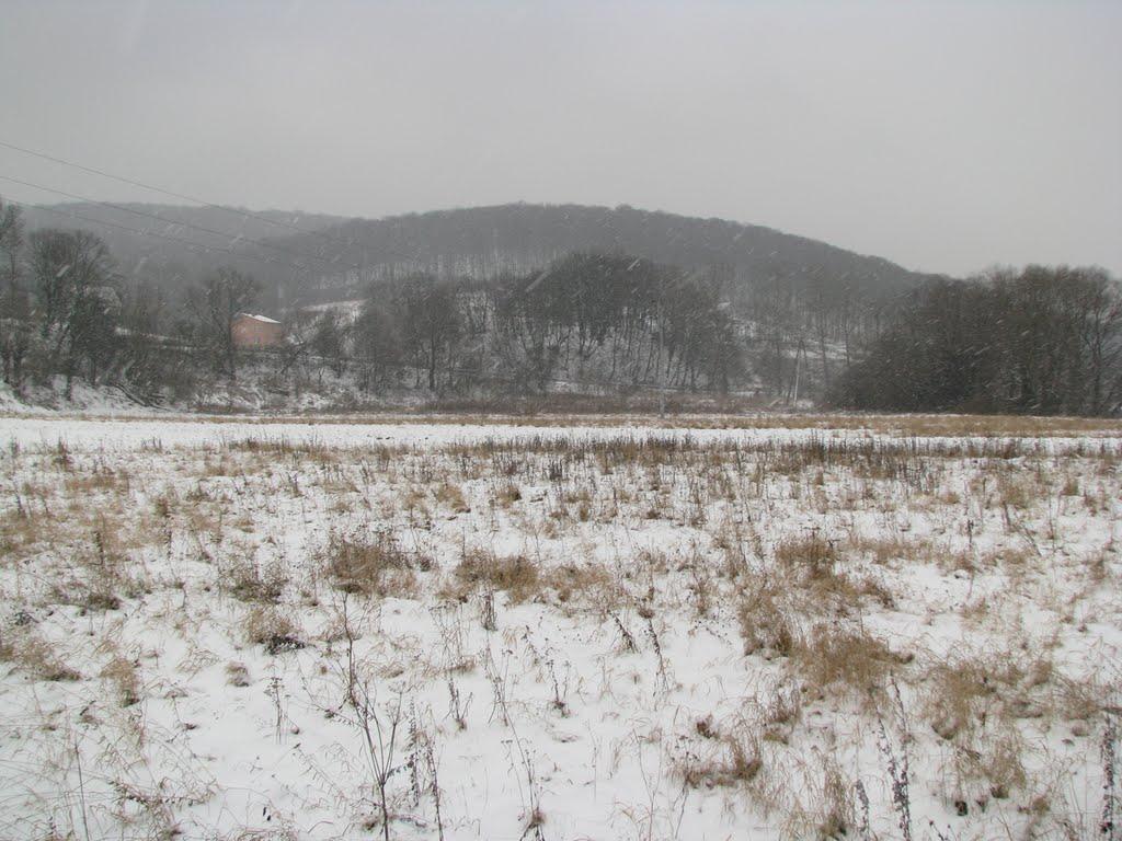 Нижанковичі з panoramio.com (ч.2) - Nyzhankovychi