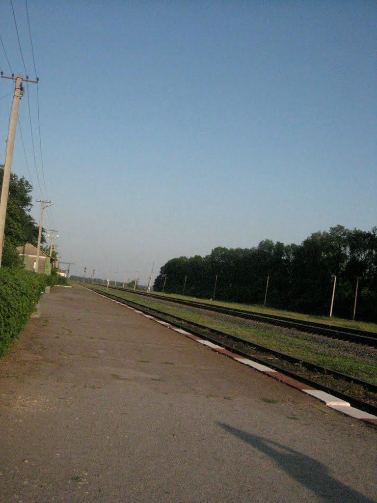 Манівці з panoramio.com - Манівці