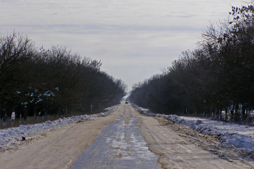 Августівка з panoramio.com - Августівка