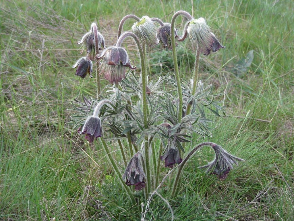 Трудівське з panoramio.com - Трудівське