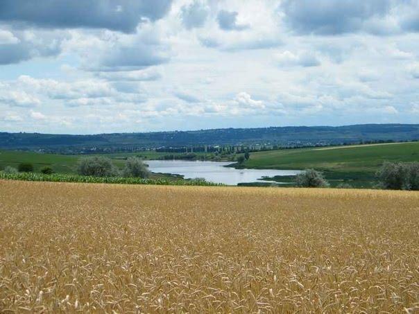 Стальнівці з panoramio.com - Стальнівці