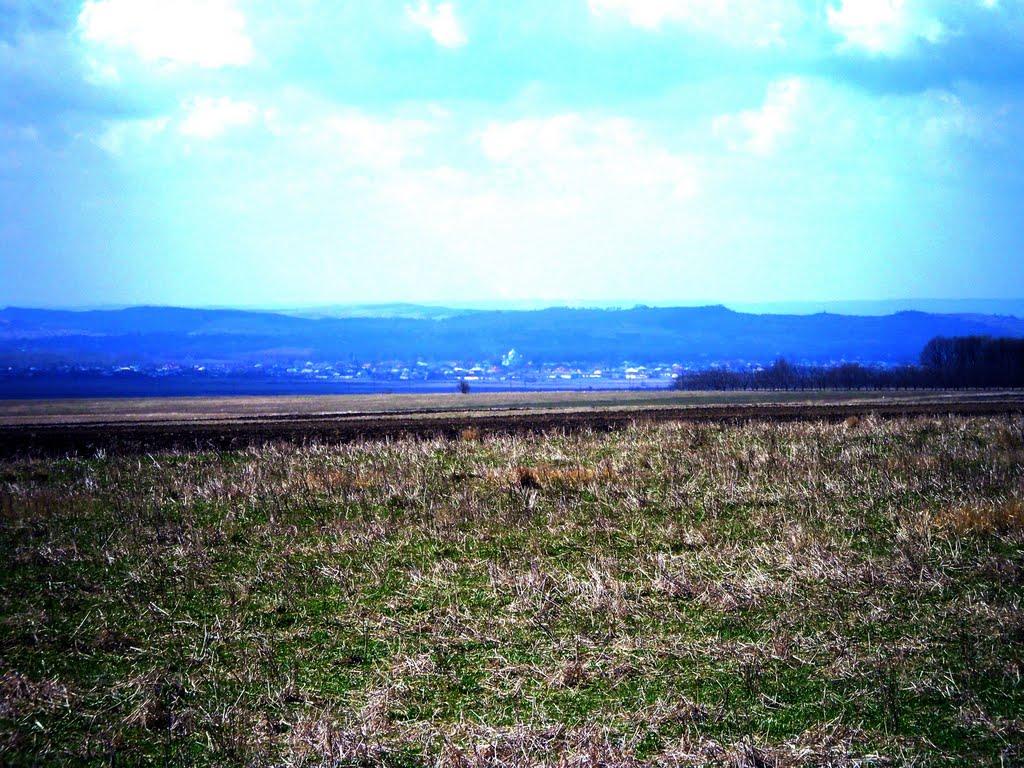 Ванчиківці з panoramio.com - Ванчиковцы