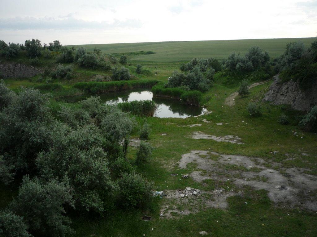 Стальнівці з panoramio.com - Стальновцы