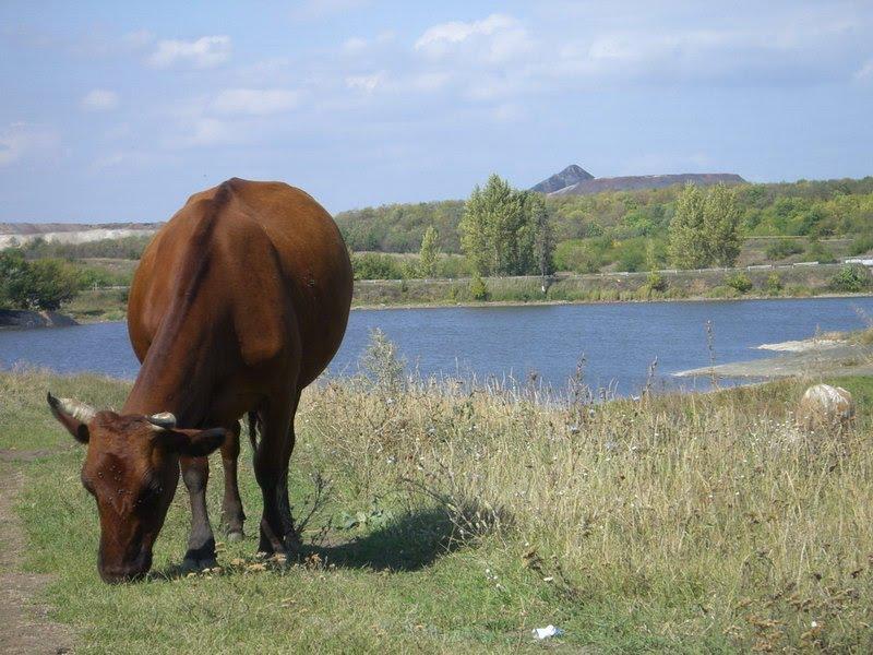 Свердловськ з panoramio.com - Свердловськ