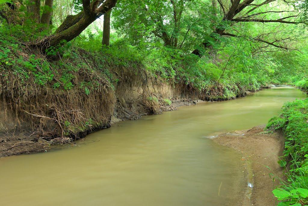 Миньківці з panoramio.com - Миньківці