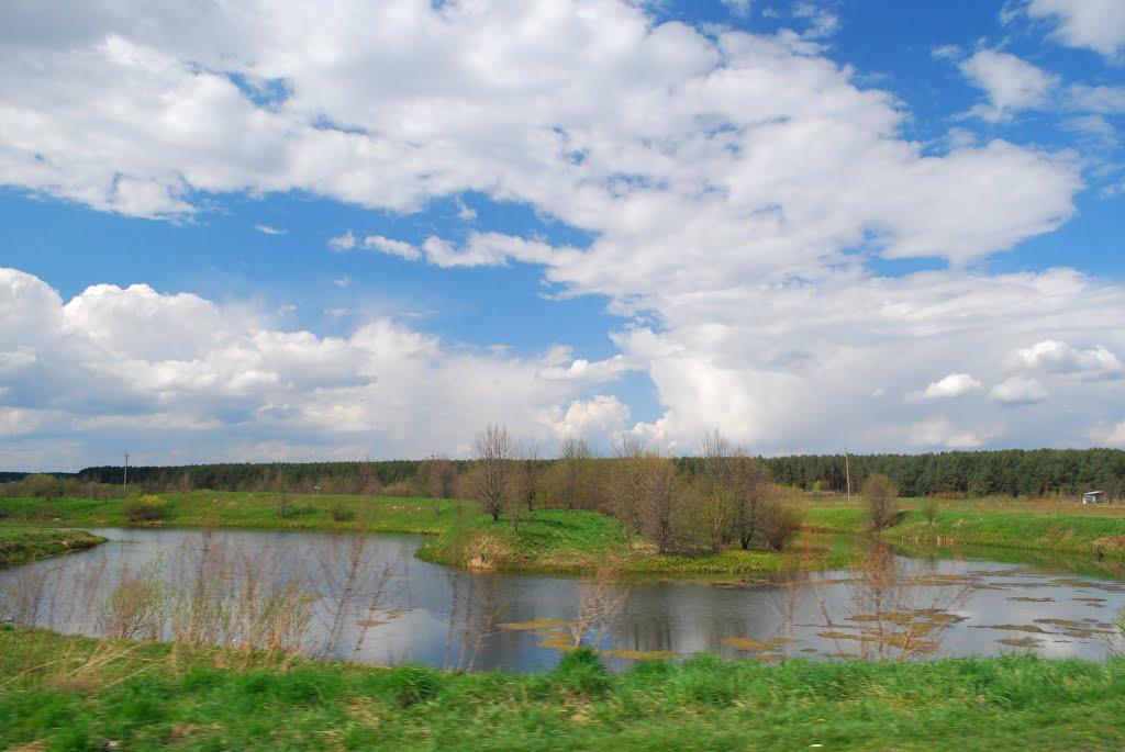 Заріччя з panoramio.com - Заріччя
