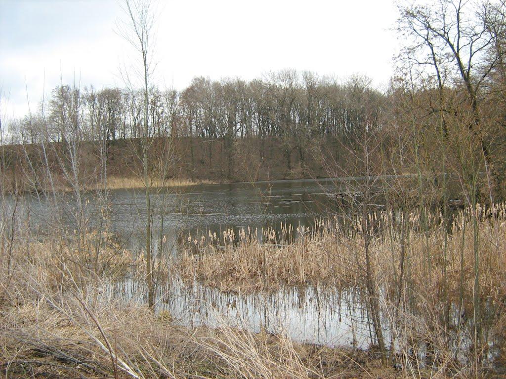 Велика Чернявка з panoramio.com - Велика Чернявка