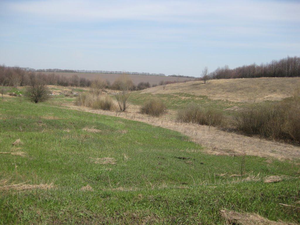 М'якеньківка з panoramio.com - Мякеньковка