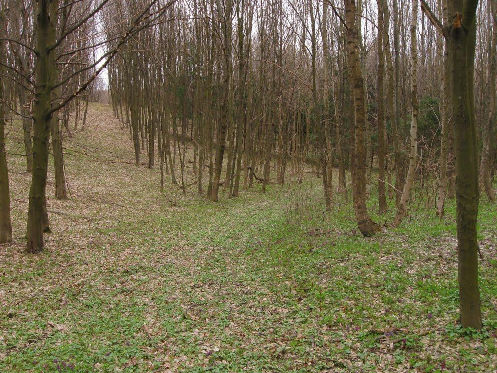 Ладижин з panoramio.com (ч.2) - Ладыжин